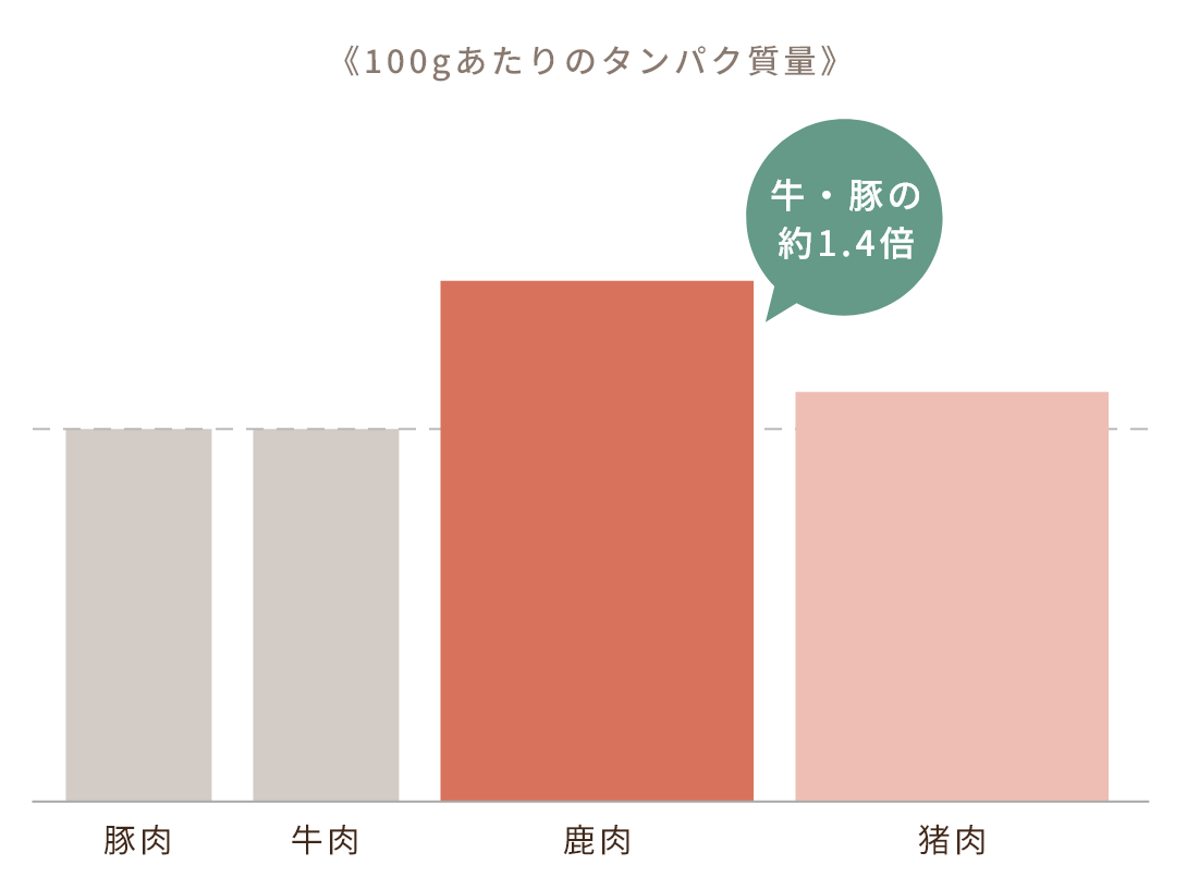 タンパク質栄養グラフ