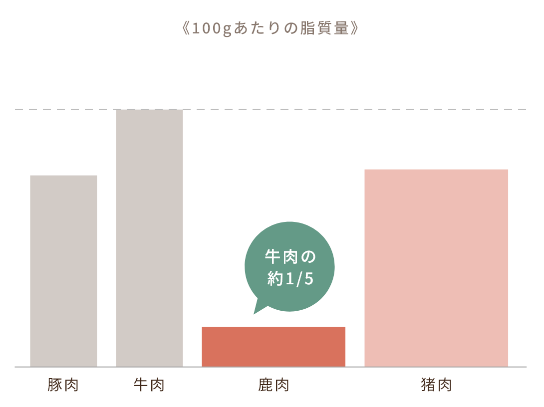 脂質栄養グラフ