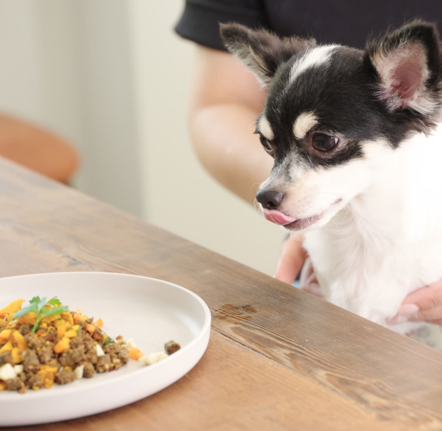 犬に最良のお肉